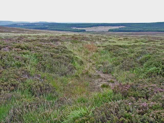 File:Fylingdales Moor.jpg