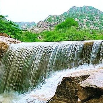 File:Nagarparkar after rains.jpg