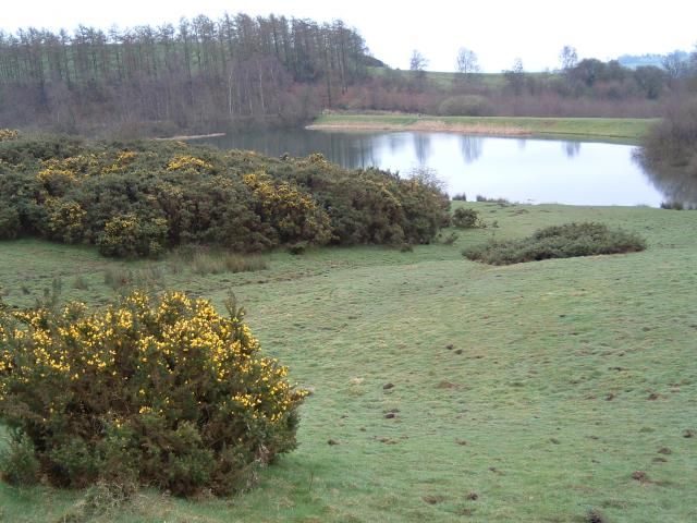 File:Oulston Reservoir - geograph.org.uk - 963.jpg