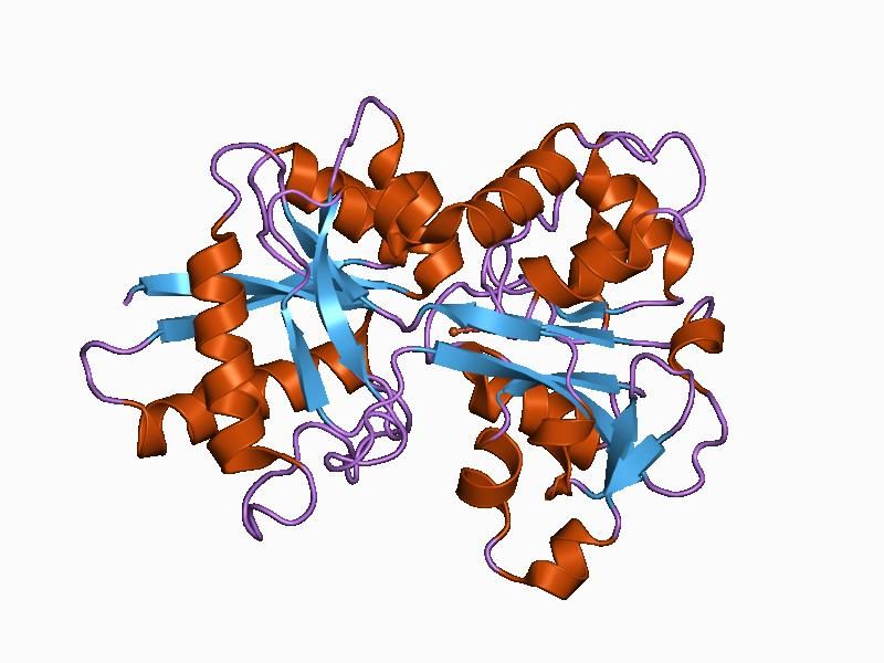 File:PDB 1d4n EBI.jpg