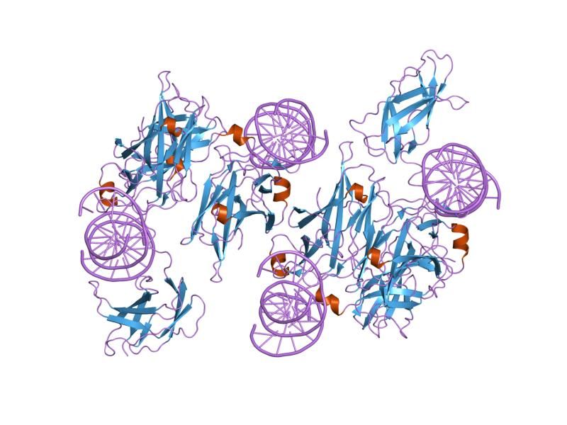 File:PDB 1owr EBI.jpg