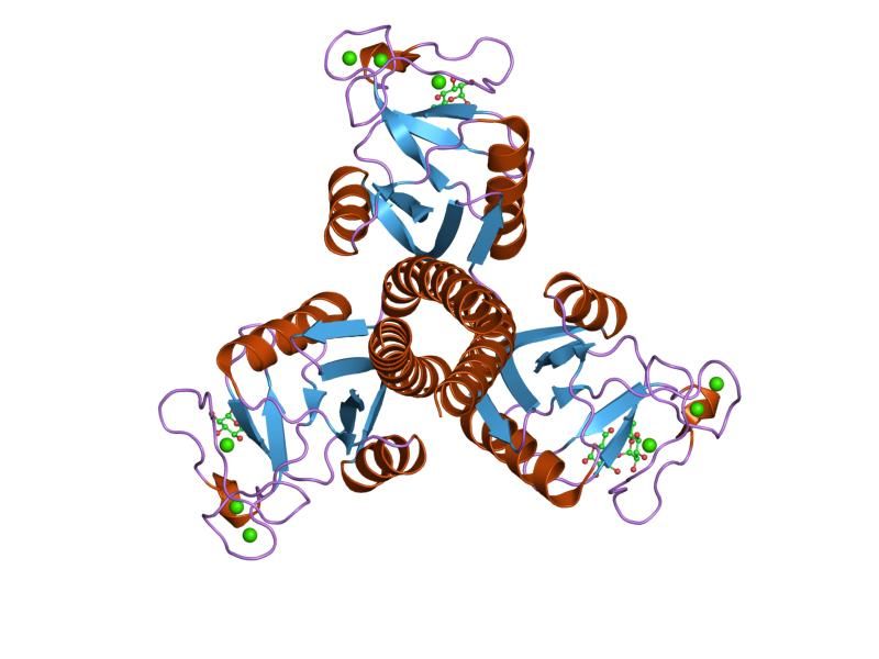 File:PDB 1pwb EBI.jpg