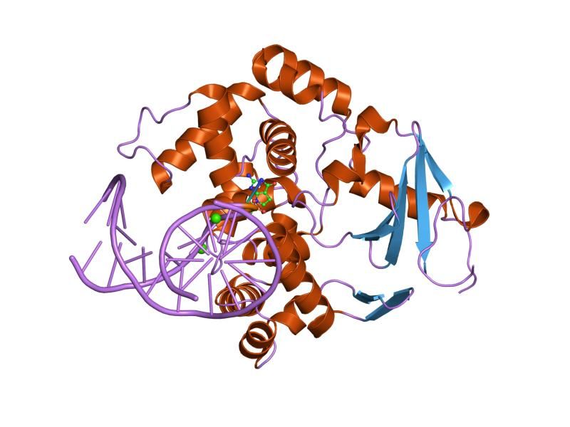 File:PDB 1yqm EBI.jpg