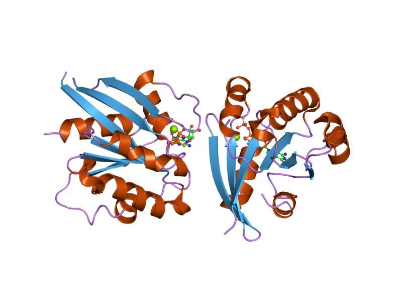 File:PDB 2j5x EBI.jpg