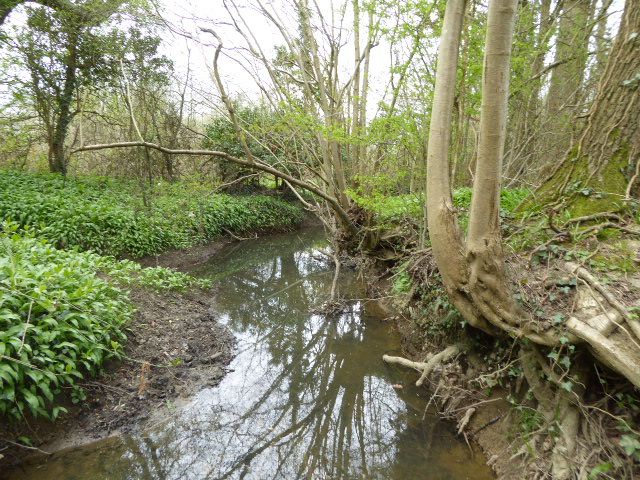 File:Slinfold Stream and Quarry (1).jpg