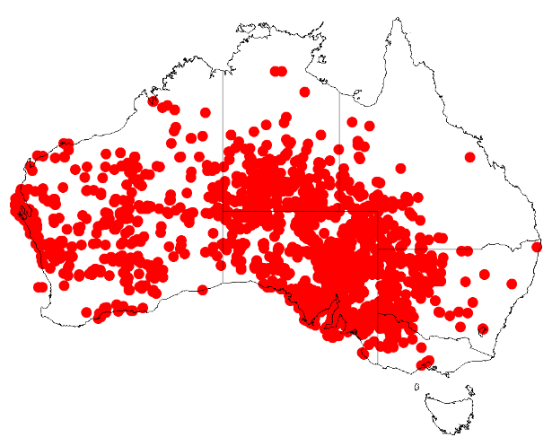 File:Acacia ligulataDistMap537.png