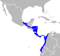 File:Alouatta palliata Range Map cropped.png