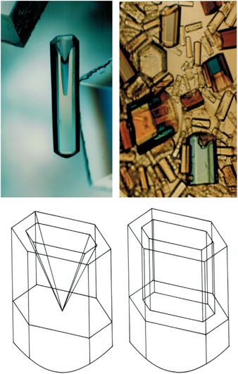 File:Canavalin crystals.jpg