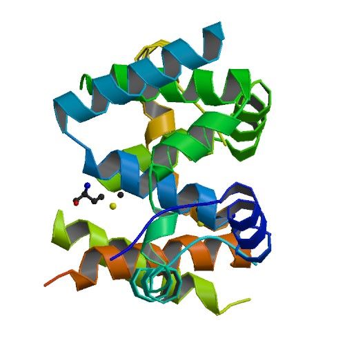 File:Cdc4 structure.jpg