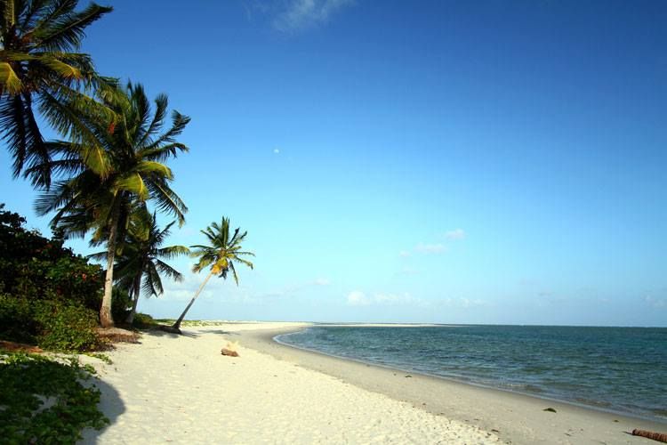 File:Coroa de Aviao beach.jpg