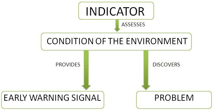 File:Indicator 3.0.JPG