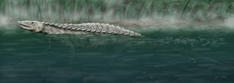 File:Longosuchus BW.jpg