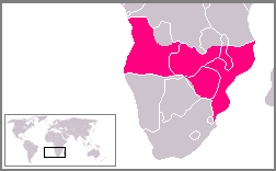 File:Mapa Cor-de-Rosa.png