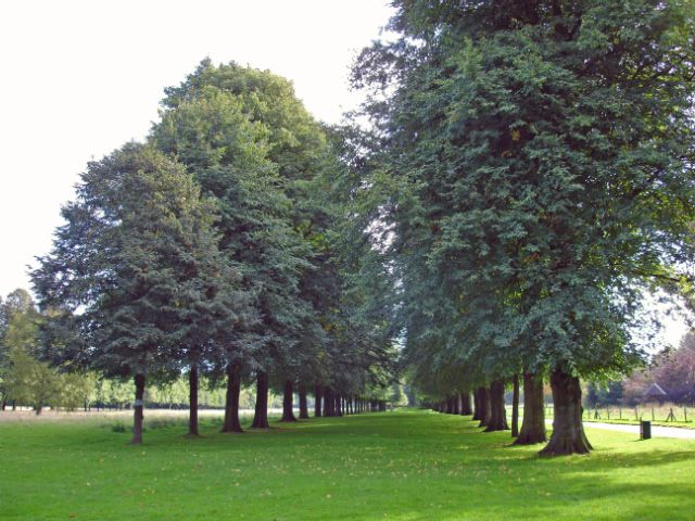 File:Marbury park.jpg