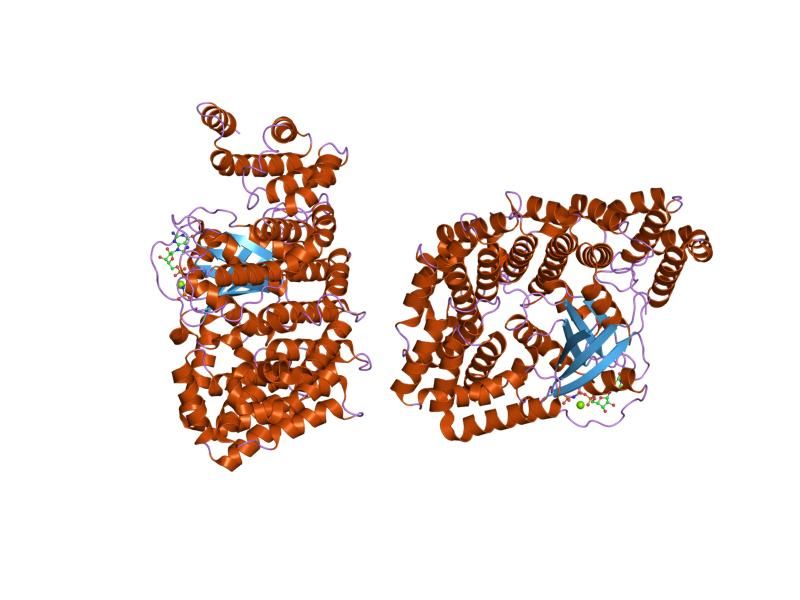 File:PDB 1ibr EBI.jpg