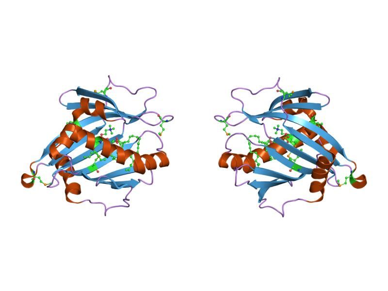 File:PDB 1ln2 EBI.jpg