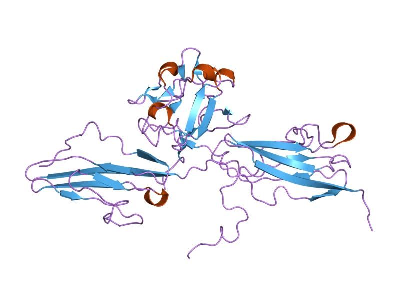 File:PDB 1ry7 EBI.jpg