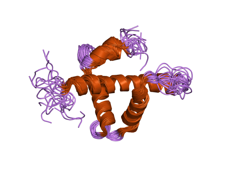 File:PDB 1u2n EBI.png