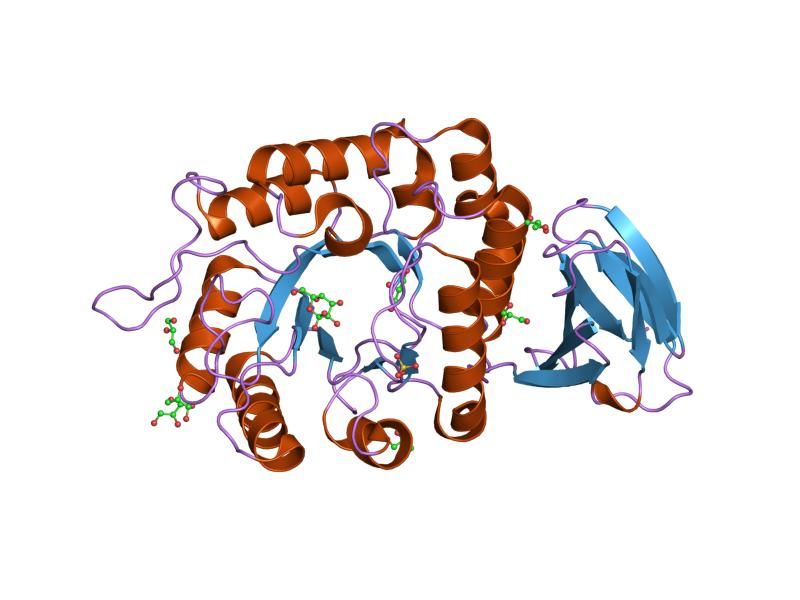 File:PDB 1uas EBI.jpg