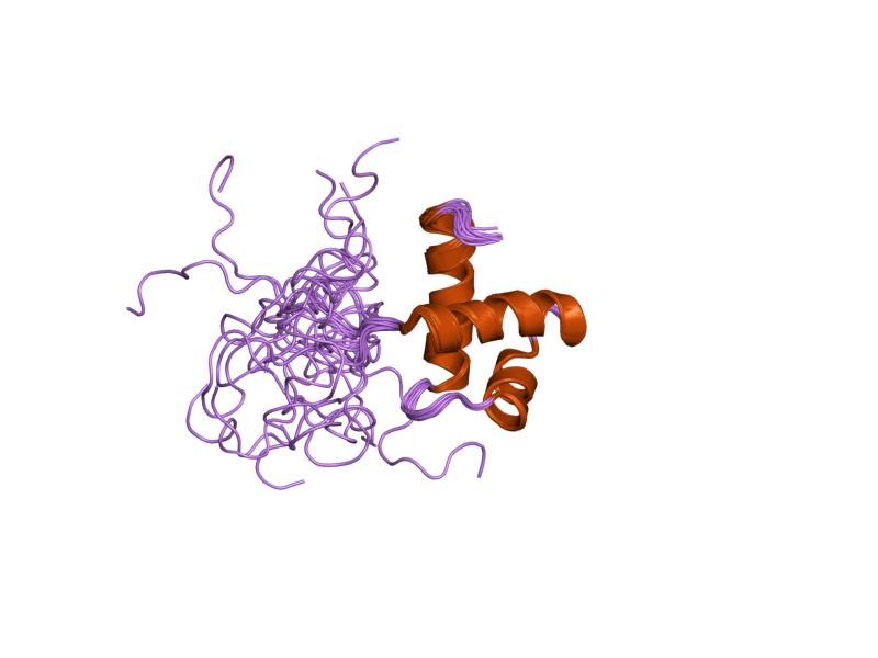 File:PDB 1xg1 EBI.jpg