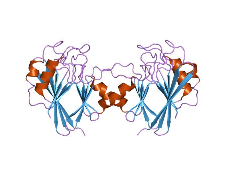 File:PDB 1z2x EBI.jpg