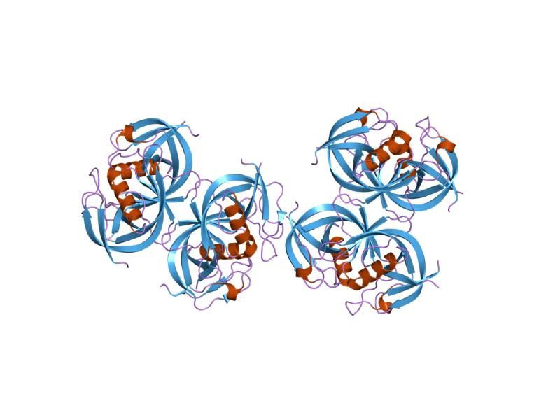 File:PDB 2ane EBI.jpg