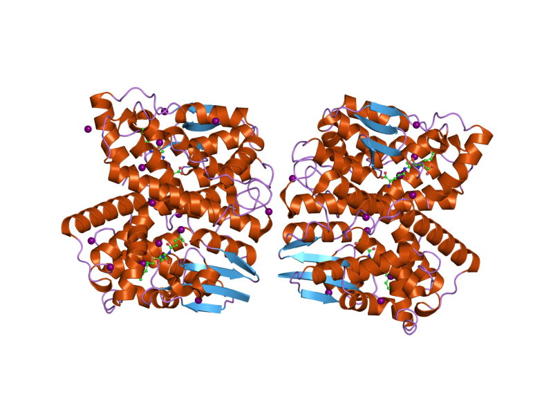 File:PDB 2c3q EBI.png