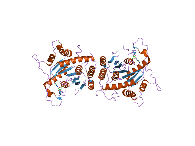 File:PDB 2d4h EBI.png