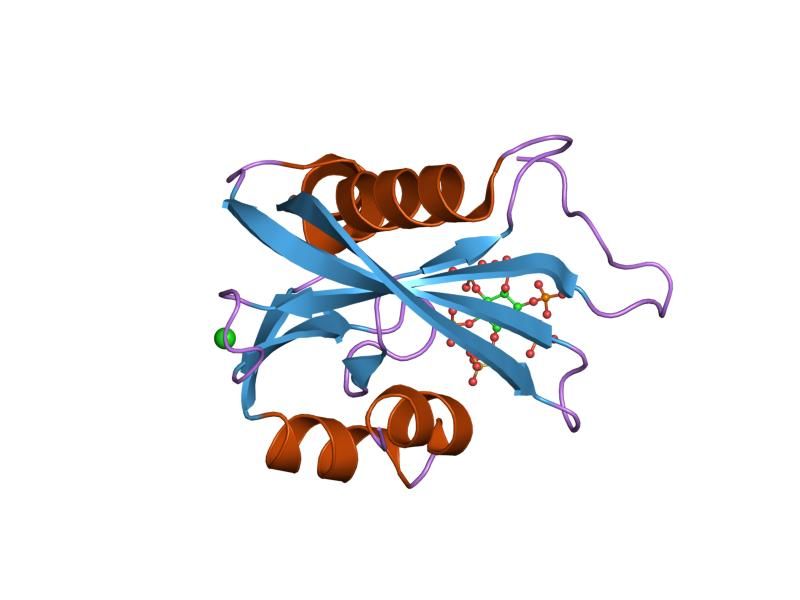 File:PDB 2fvv EBI.jpg