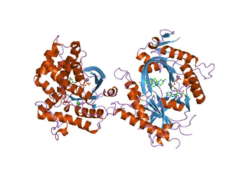 File:PDB 2gvz EBI.jpg