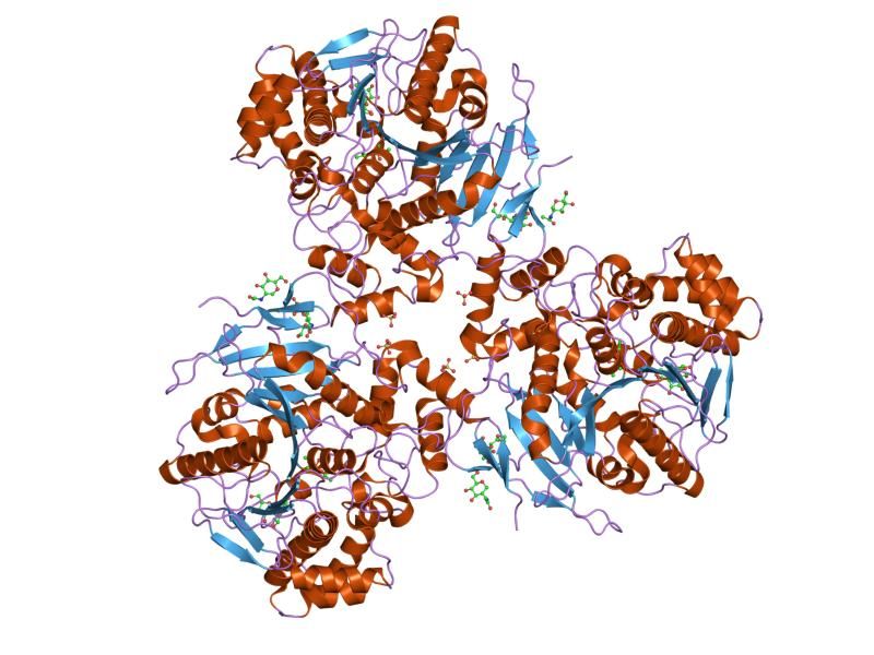 File:PDB 2hrr EBI.jpg