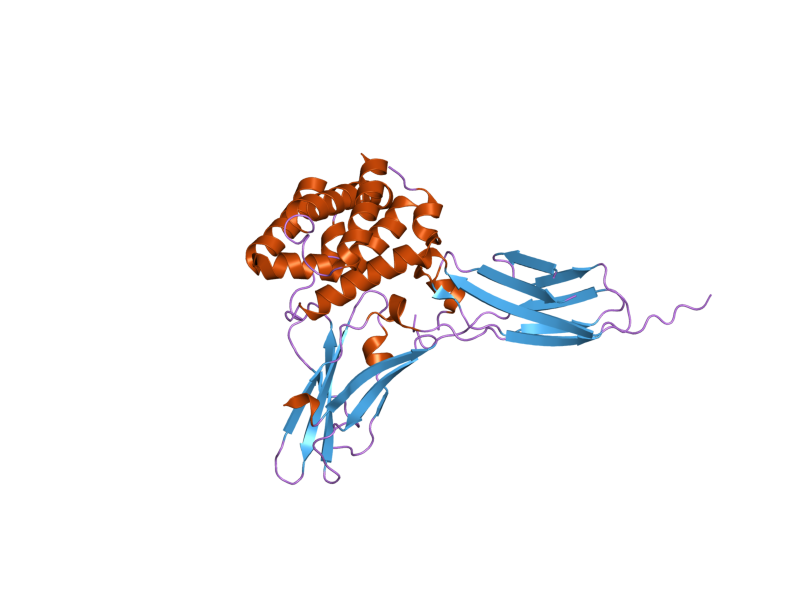 File:PDB 3dlq EBI.png