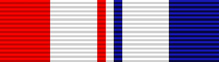 File:USA - TX Combat Service Ribbon.png