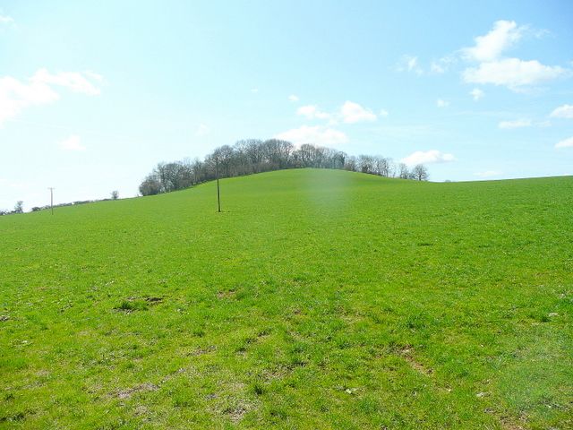 File:Creech Hill (geograph 1793954).jpg