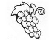 File:ECI Election symbol- Grapes.jpg