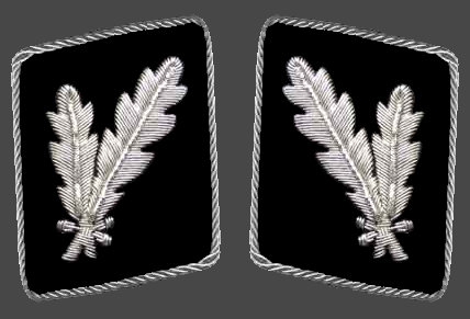 File:HH-SS-Oberfuhrer-Collar.png