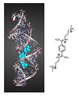 File:HIV-1 RNA frameshift site stem-loop and DB213.png