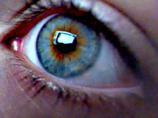 File:Heterochromia Blue Orange.png