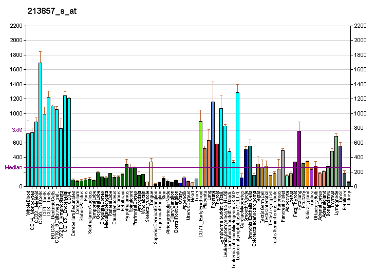 File:PBB GE CD47 213857 s at fs.png