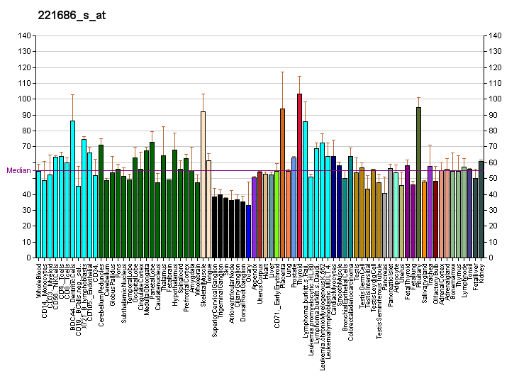 File:PBB GE RECQL5 221686 s at fs.png