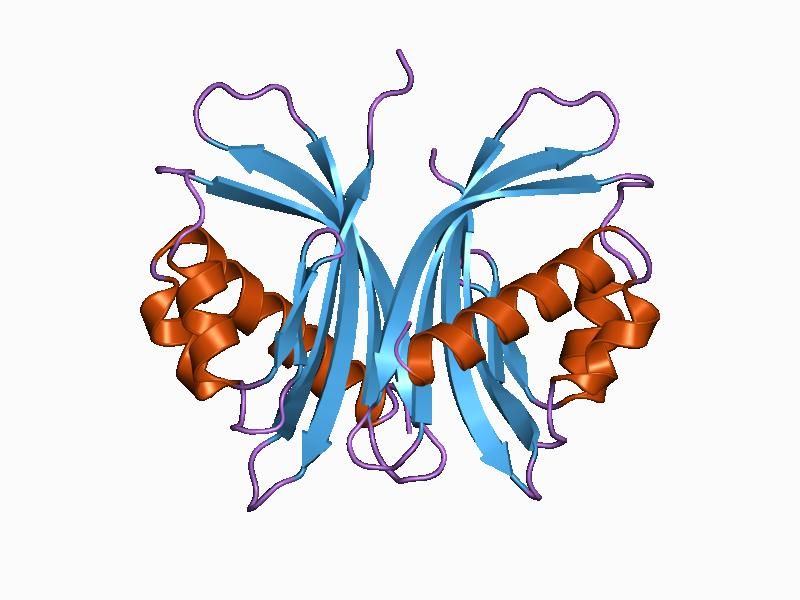 File:PDB 1ask EBI.jpg