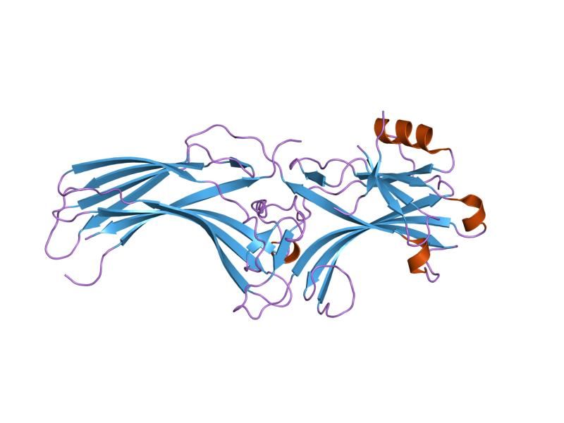 File:PDB 1g4r EBI.jpg