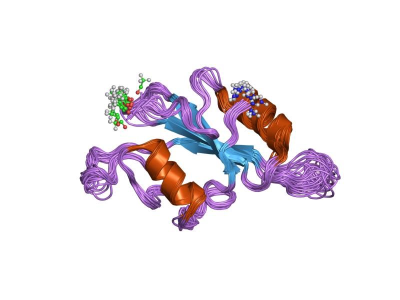 File:PDB 1lum EBI.jpg