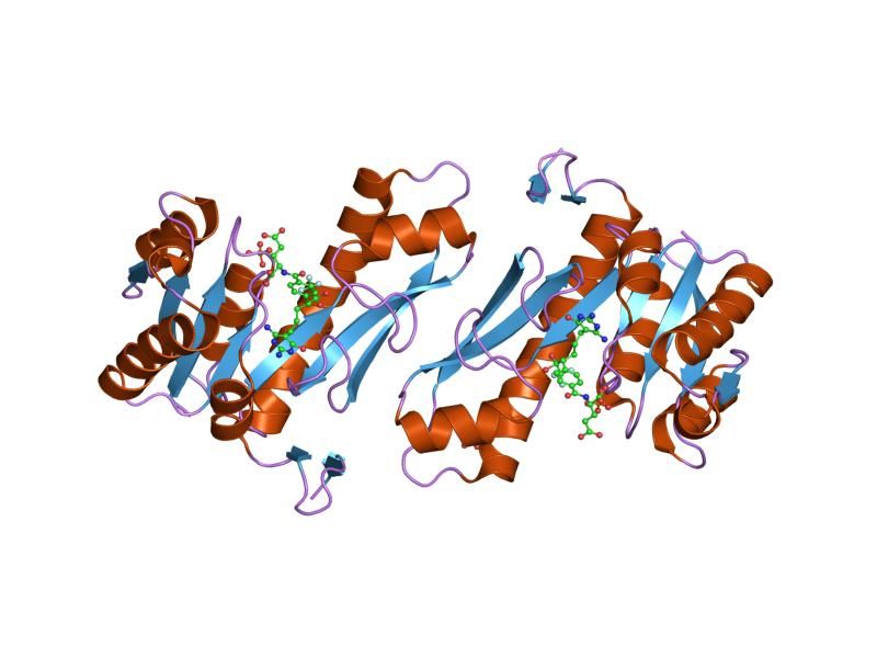 File:PDB 1njs EBI.jpg