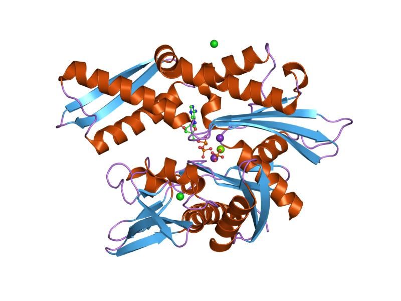 File:PDB 1qqn EBI.jpg