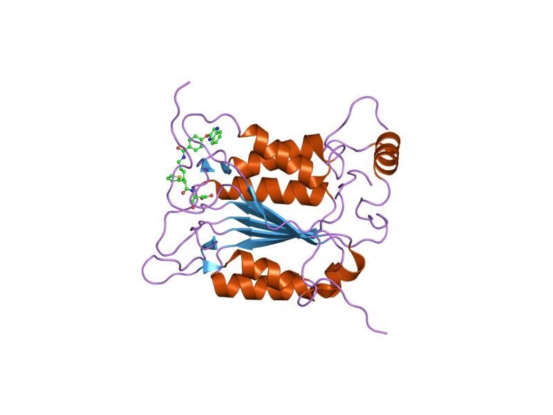 File:PDB 1rwx EBI.jpg