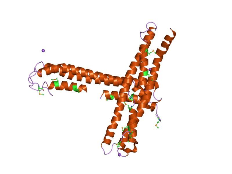 File:PDB 1ud0 EBI.jpg