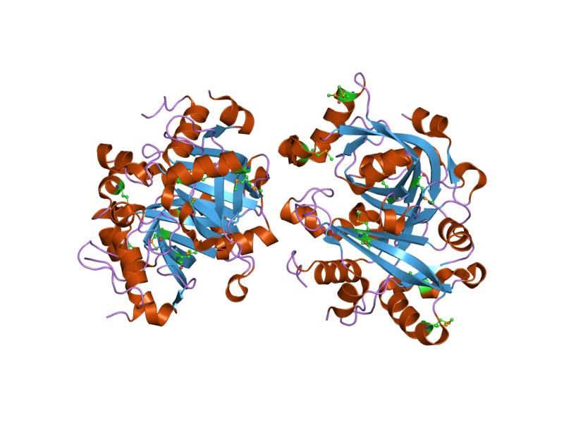 File:PDB 1xhn EBI.jpg