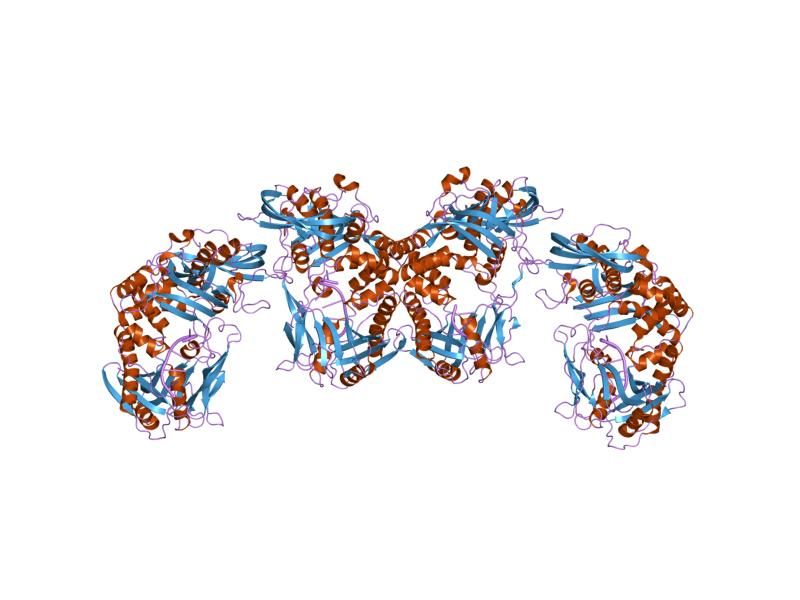 File:PDB 1xhz EBI.jpg