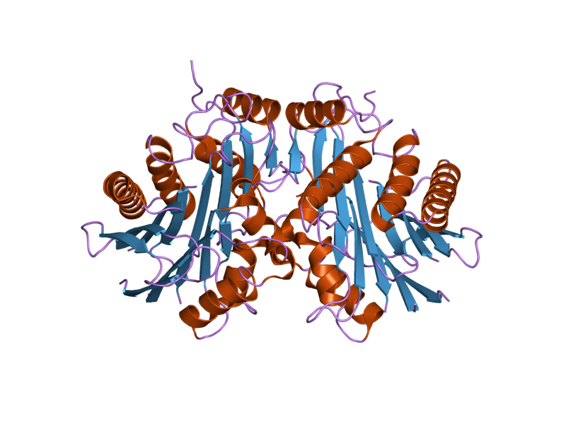 File:PDB 2a8l EBI.png